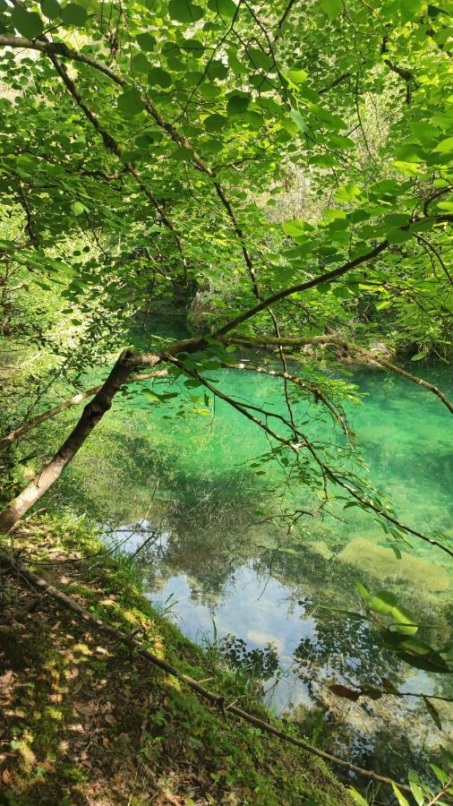 فايانس Le Mas Melusine المظهر الخارجي الصورة